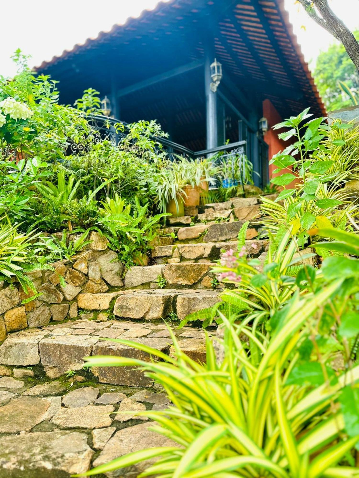Binh An Village Vũng Tàu Exterior foto